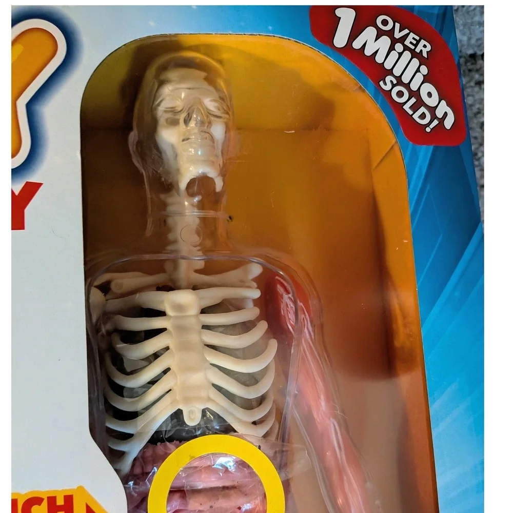 SmartLab Toys Squishy Human Body‎ 29 Piece Anatomy Model Kit with 24 Page Book